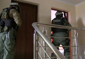 [VIDEO] Boss grupy przestępczej ukrył się w gołębniku przed policjantami CBŚP