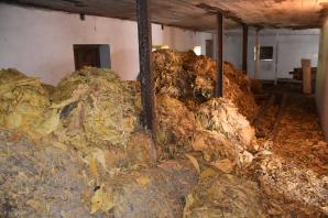 [VIDEO] Zlikwidowano nielegalną fabrykę tytoniu