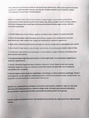 [VIDEO] Protest pod Ambasadą Wielkiej Brytanii w Warszawie! 3-letni Dawid ma wrócić do polskiej mamy! [GB/PL]