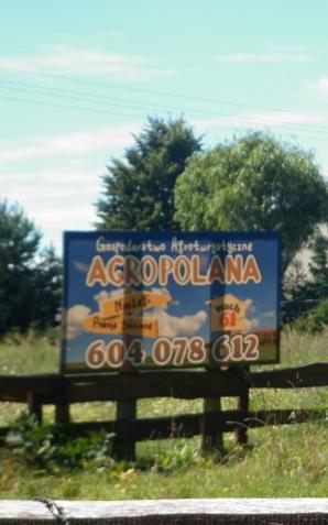 Agro Polana u Kowalczyka w Wachu