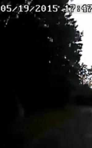Uciekając przed policją rzucał doniczkami!