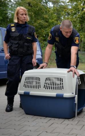 Warszawa: Nowe radiowozy dla ekopatrolu Straży Miejskiej