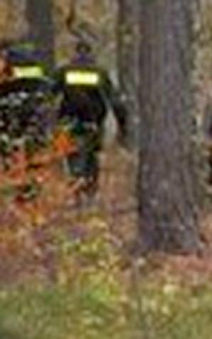 Policjanci odnaleźli i uratowali 68-letniego grzybiarza