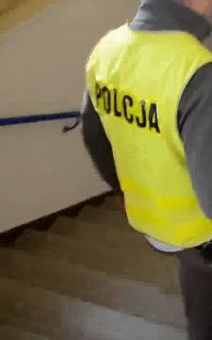 [VIDEO] Podejrzana o zabójstwo w areszcie