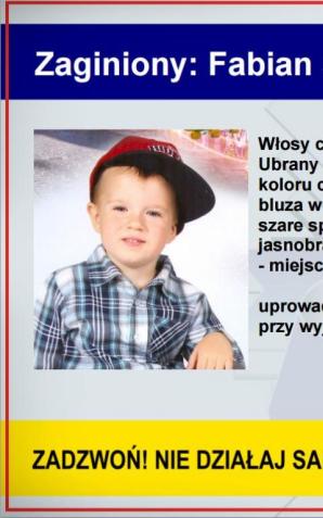Podsumowanie działań Child Alert