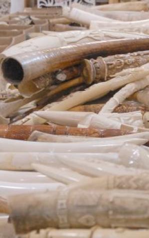 Świecznik z kości słoniowej wystawiony na portalu