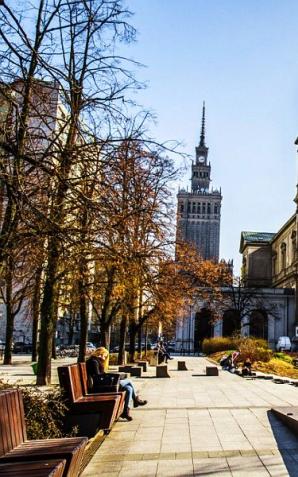 Ponad 41 tysięcy zł za warszawskie drzewo na aukcji WOŚP