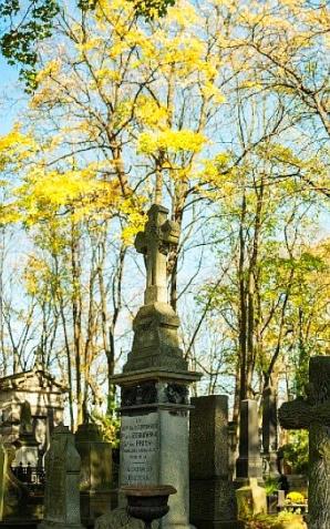 Wszystkich Świętych w Warszawie – informator drogowy