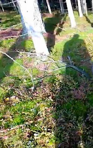 [VIDEO] Wybierasz się na grzyby?