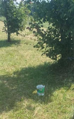 Przywiązał psa na MOP i zostawił. Policjanci poszukują właściciela psa