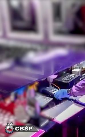 [VIDEO] Rozbity gang i zlikwidowane 2 agencje towarzyskie