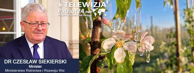 [VIDEO] Gminne komisje szacują już straty w uprawach spowodowane przez majowe przymrozki. Najbardziej poszkodowani są sadownicy